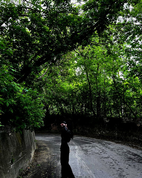 dalivrot instagram image archive image