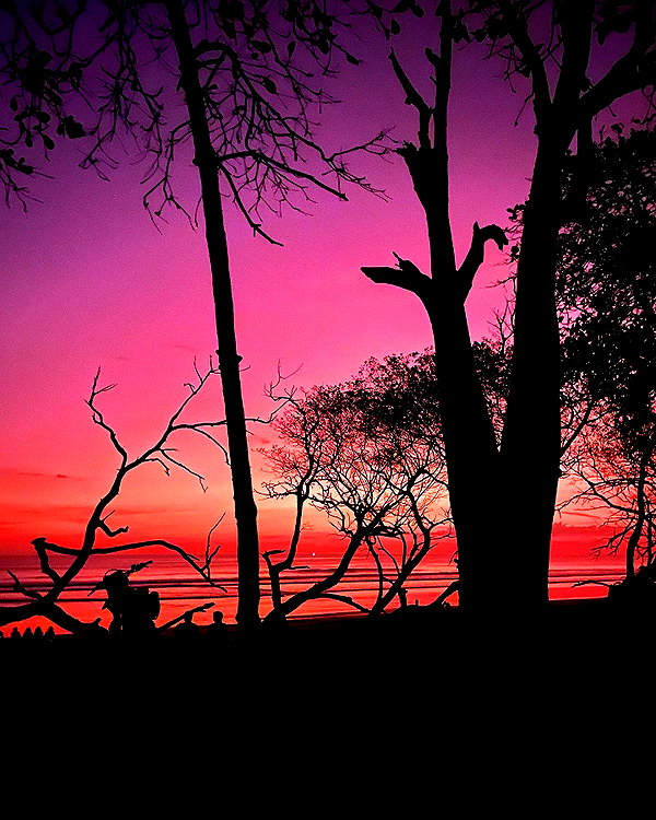 shahar__hauon instagram image archive image