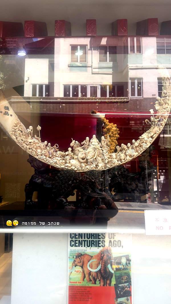 kesemgreenyer instagram image archive image