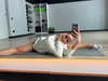 ariana_vomi Altpins Profile Picture