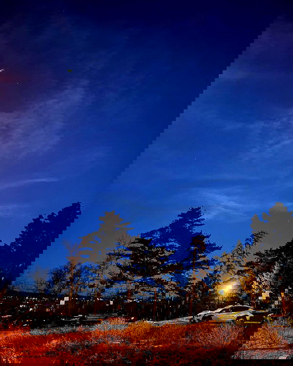 thelizzyporter thelizzyporter archive image