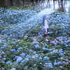 erokochiba Altpins Profile Picture