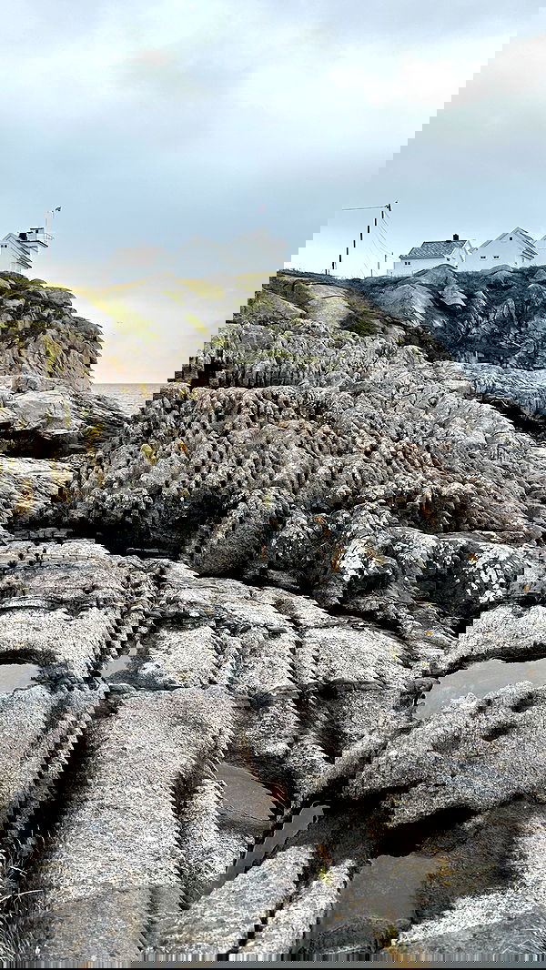 taylor.creeden taylor.creeden archive image