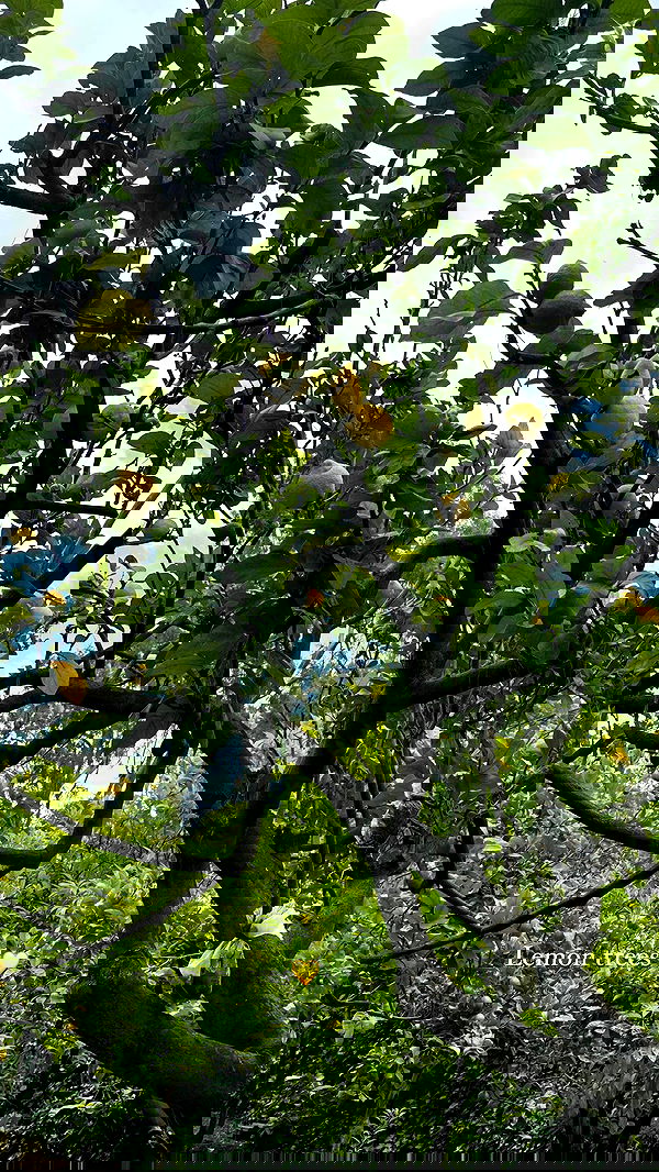 taylor.creeden taylor.creeden archive image