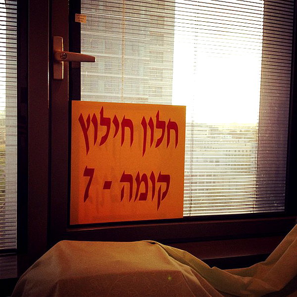 adihimelbloy instagram image archive image
