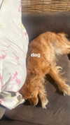 babynympho_archive Altpins Profile Picture