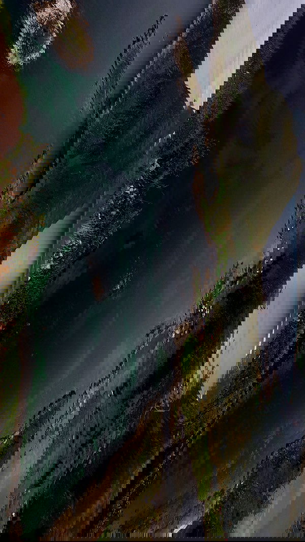 taylor.creeden taylor.creeden archive image