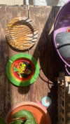 babynympho_archive Altpins Profile Picture