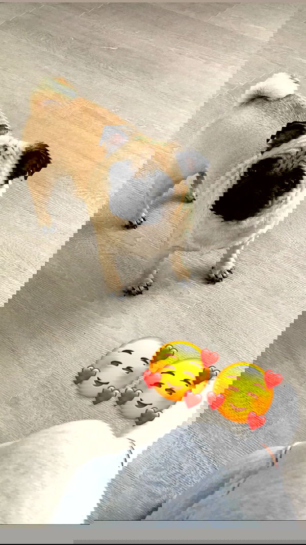 nyityam nyityam archive image