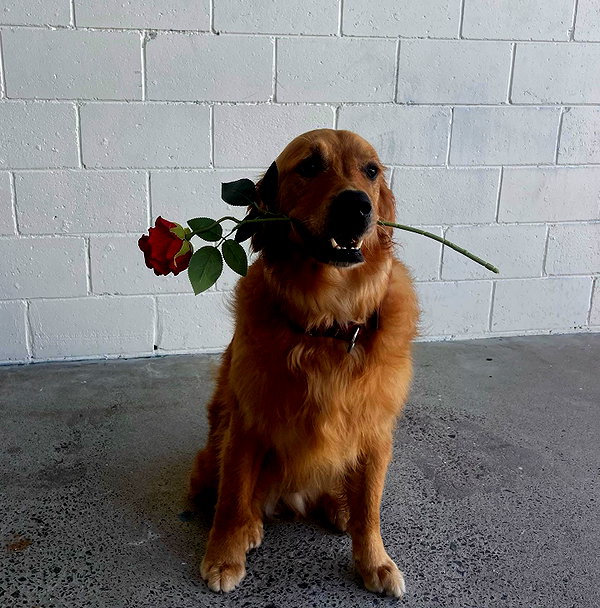Archived image from @edenharper on Instagram