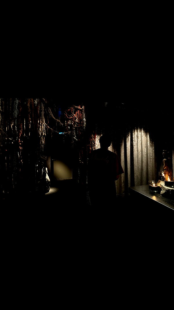 vvelum_ archive image