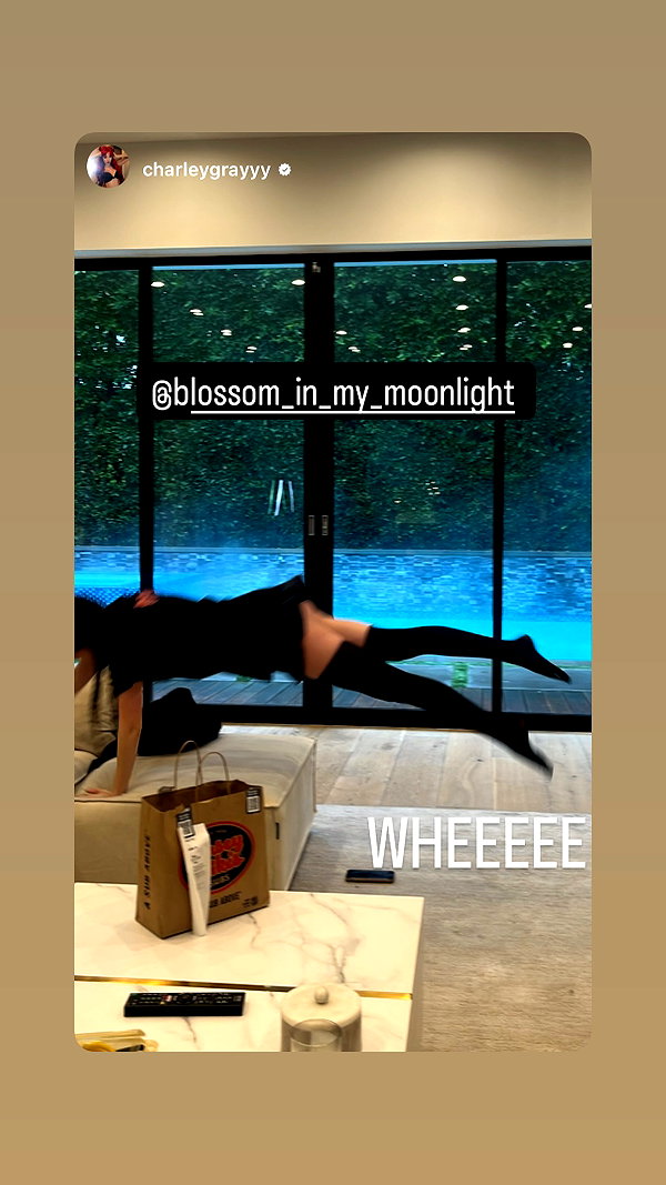 blossom_in_my_moonlight blossom_in_my_moonlight archive image