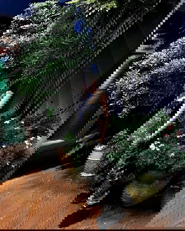 ting851204 ting851204 archive image