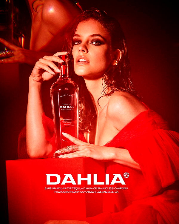 realbarbarapalvin instagram image archive image
