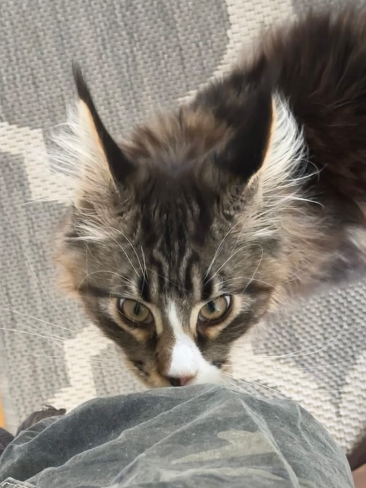 silkton instagram image archive image