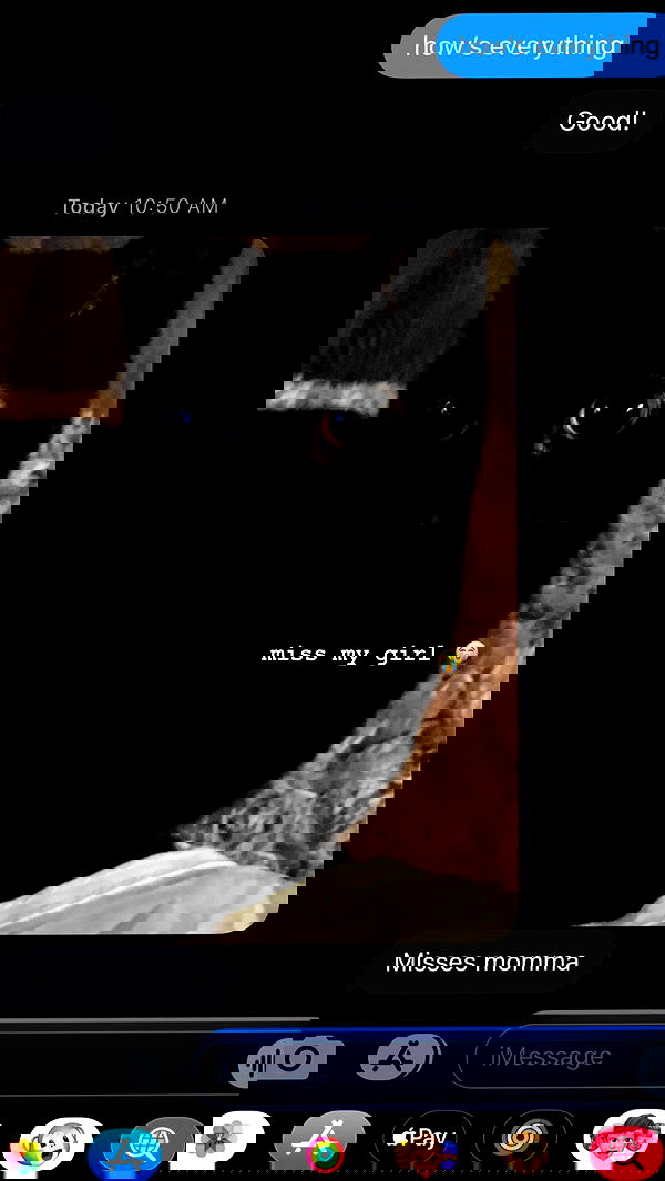 suikomuu suikomuu archive image