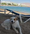 zoy.rud Altpins Profile Picture
