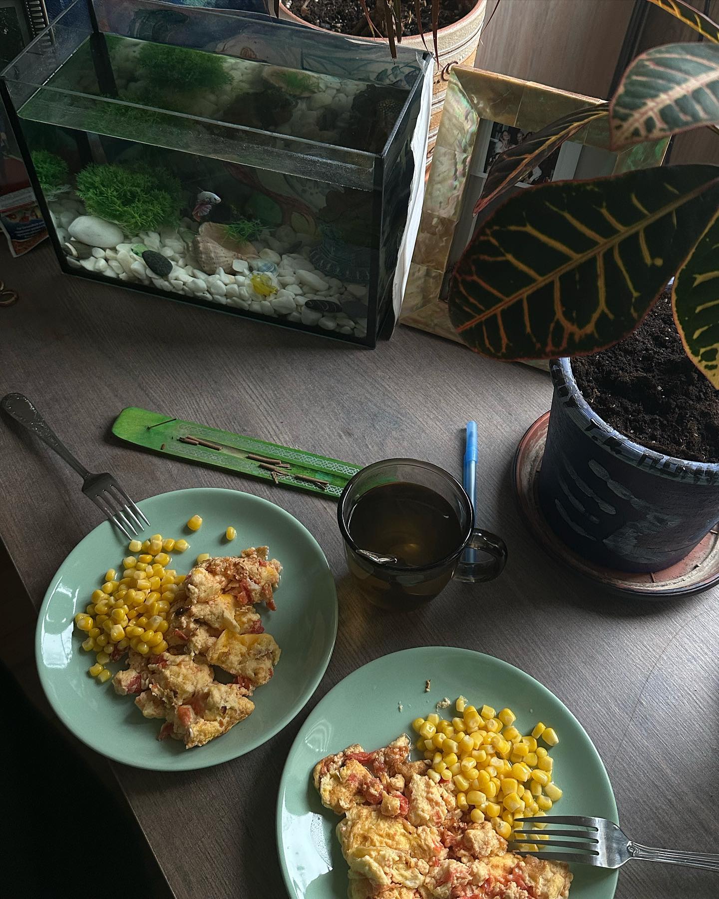 kkulakovaa instagram image archive image