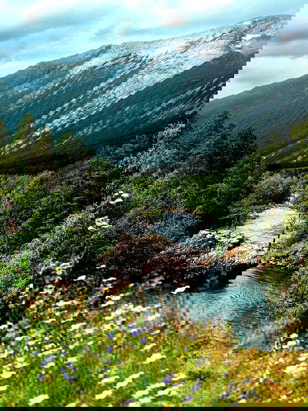 taylor.creeden taylor.creeden archive image