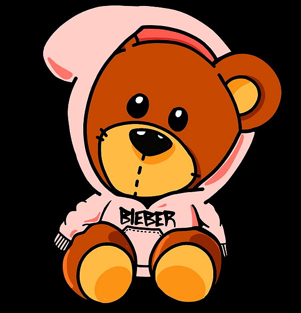 lilbieber instagram image archive image