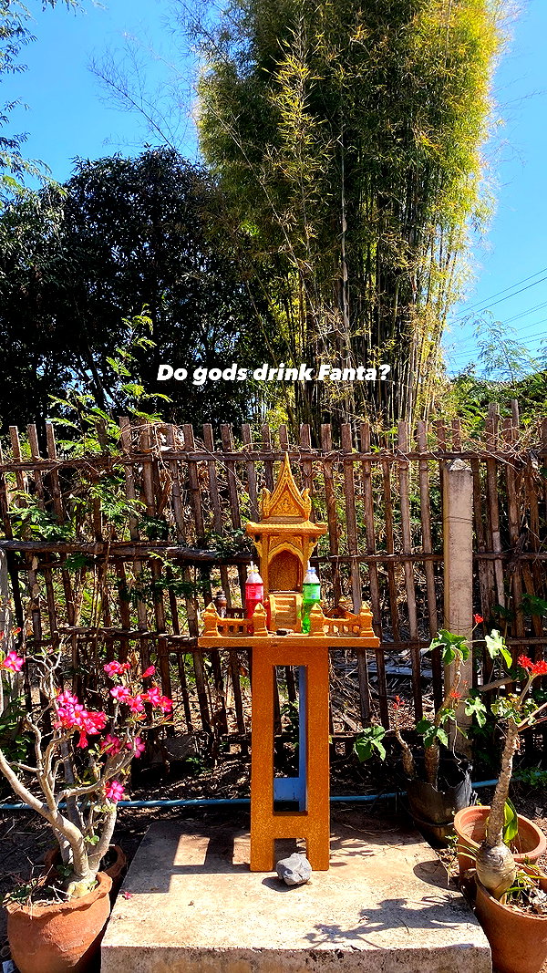 Archived image from @yam_adler on Instagram