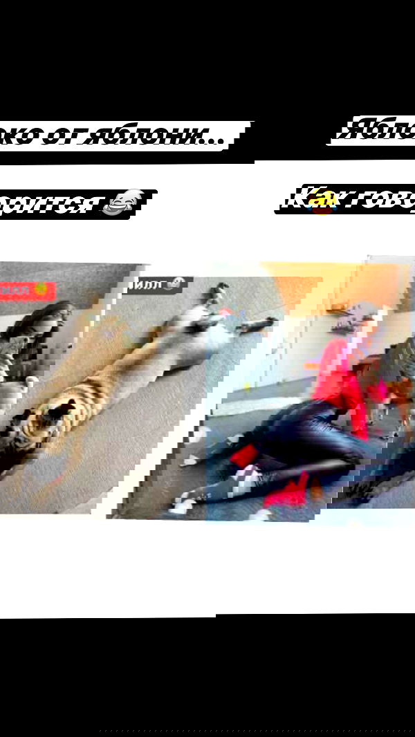 nyityam nyityam archive image