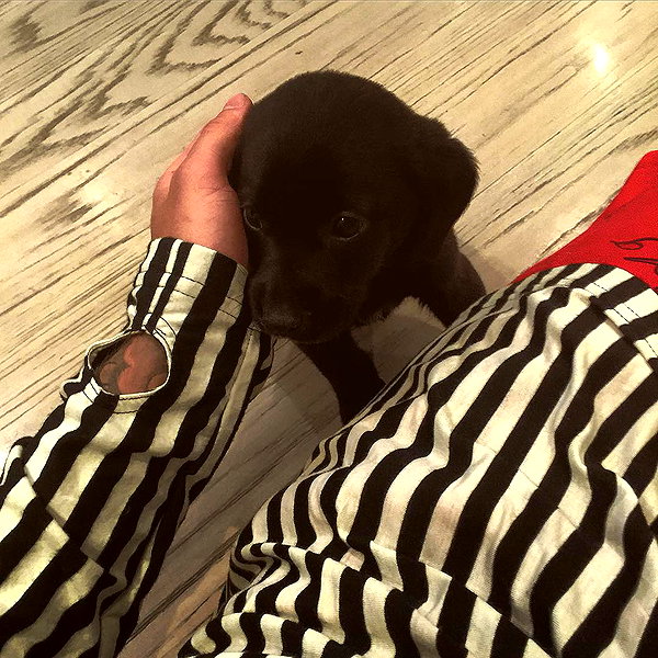 lilbieber instagram image archive image