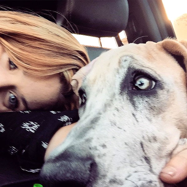 sashapieterse instagram image archive image