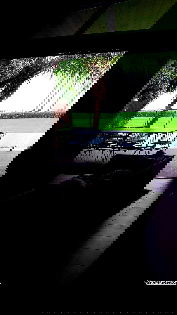 taylor.creeden taylor.creeden archive image