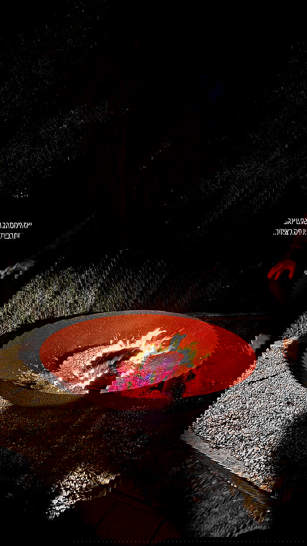 iambohema.v2 iambohema.v2 archive image