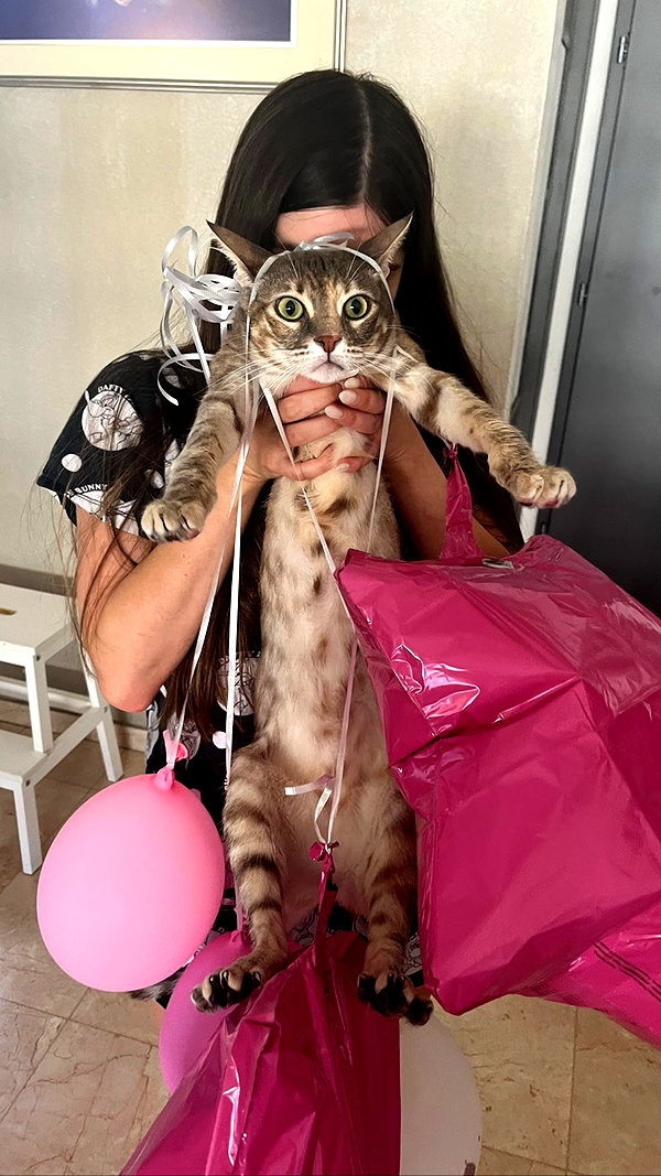 Archived image from @notchicore on Instagram