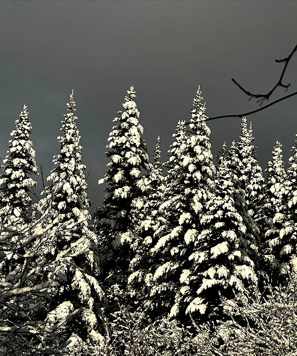 leonanaomii instagram image archive image