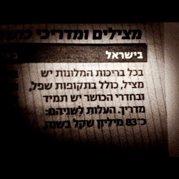 adihimelbloy instagram image archive image