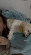 romitalblt Altpins Profile Picture