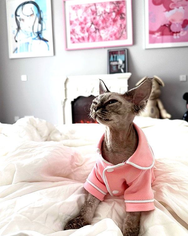 kelseydopegal instagram image archive image