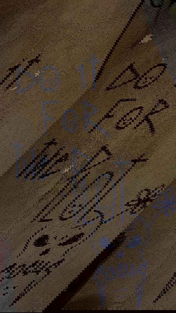 noammalka___ noammalka___ archive image