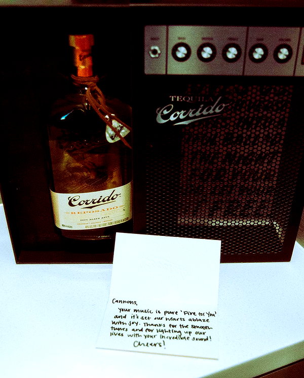cannonstheband instagram image archive image