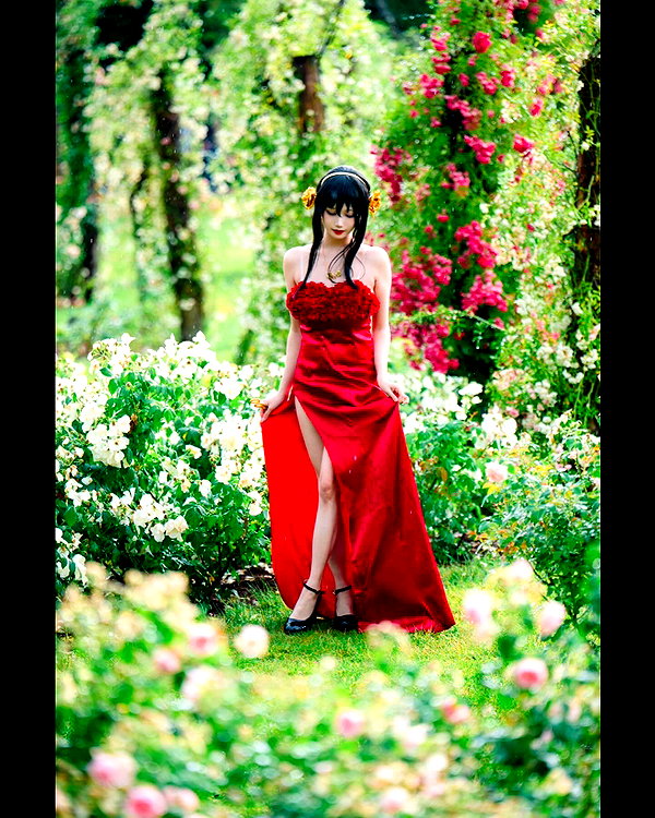 xier_cos xier_cos archive image