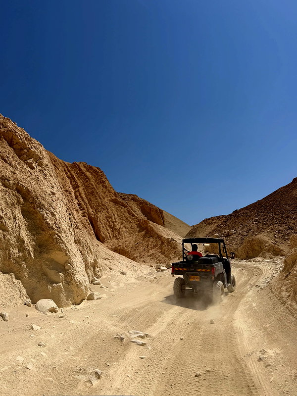 efrat_elmalich instagram image archive image