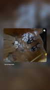 arianagrande Altpins Profile Picture