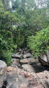 m1ry2m_ Altpins Profile Picture