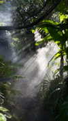 gritsa.k Altpins Profile Picture