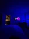 _m_a_y_c_ Altpins Profile Picture