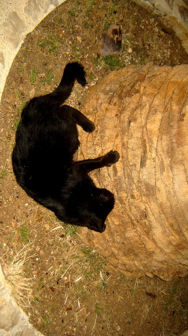 meiiisame archive image