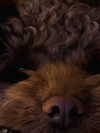 noa.benhemo Altpins Profile Picture