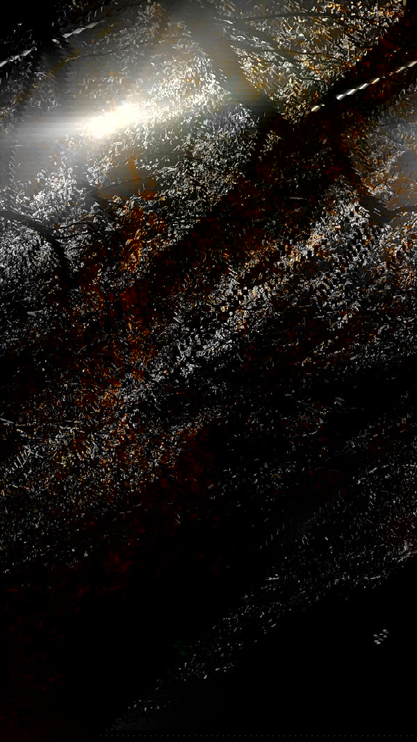 imalovesosa imalovesosa archive image