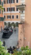 federica.piccinni Altpins Profile Picture