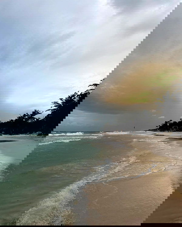 manjolamuriqi manjolamuriqi archive image