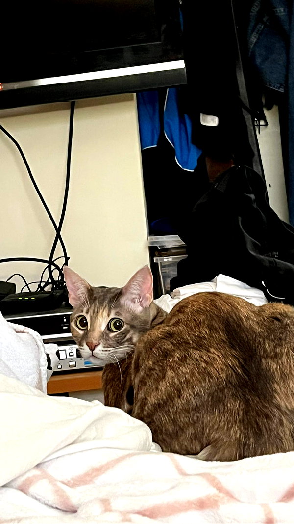 Archived image from @notchicore on Instagram