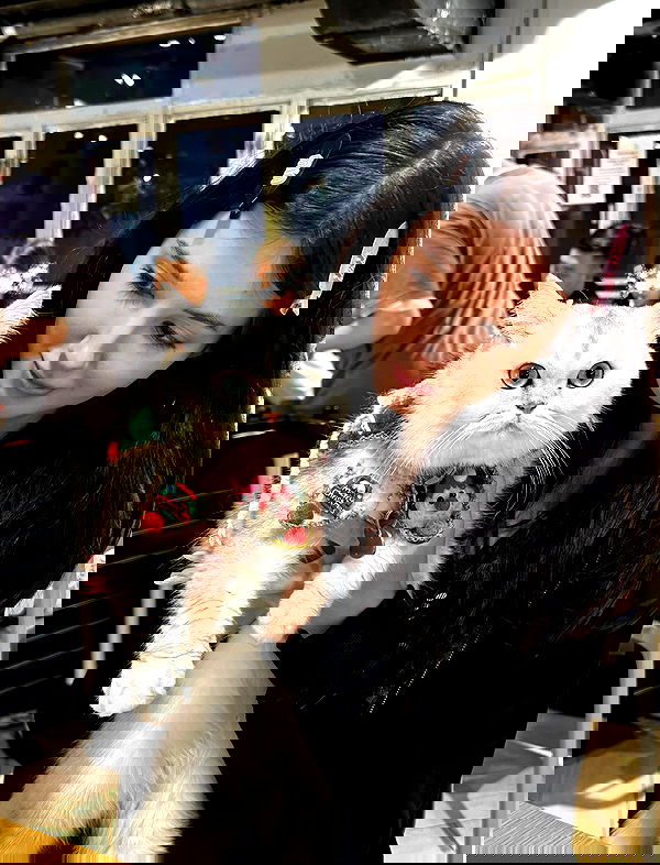 hanna_ky hanna_ky archive image